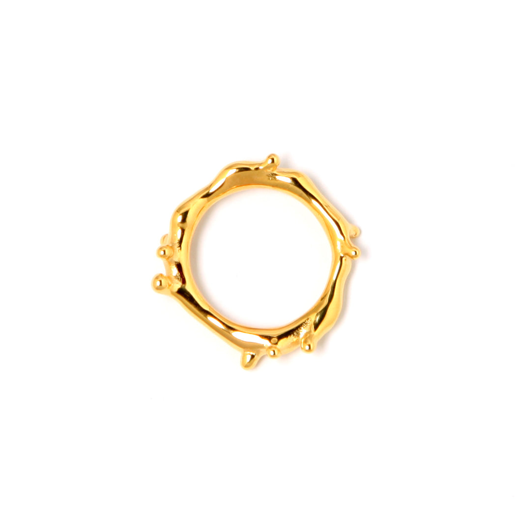 Gold Ring - gold